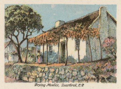 Zuid-Afrika: Droogende Maïs, Zuurbrak, CP door Charles Ernest Peers