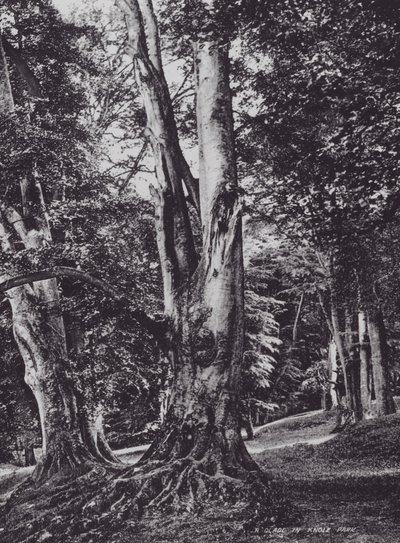 Een open plek in Knole Park door Charles Essenhigh Corke