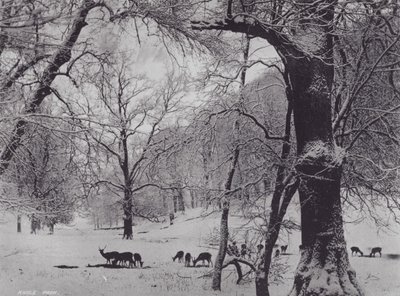 Knole Park door Charles Essenhigh Corke