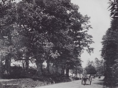 De Zeven Eiken door Charles Essenhigh Corke