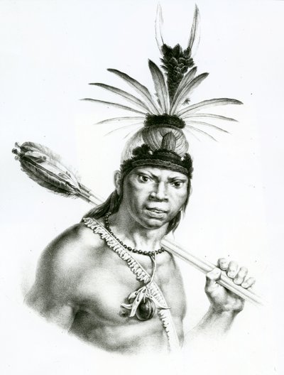 Hoofd Camacan Mongoyo uit 