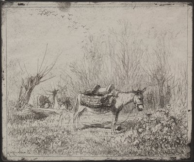 Een Ezel in het Veld door Charles Francois Daubigny