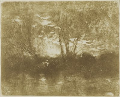 Koeien bij de drinkplaats door Charles Francois Daubigny