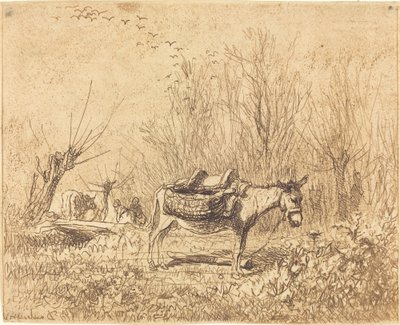 Ezel in een Veld door Charles Francois Daubigny