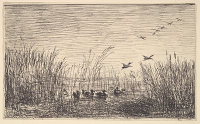 Eenden in de moerassen door Charles Francois Daubigny