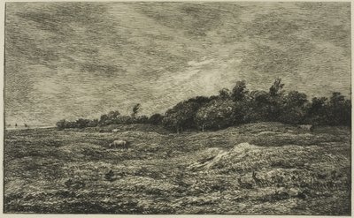 Le Pré des Graves in Villerville (Calvados) door Charles Francois Daubigny