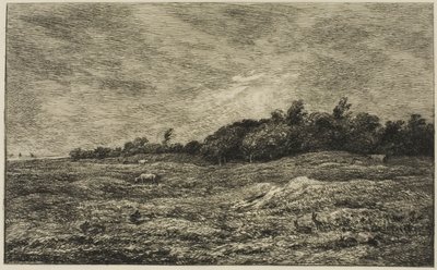 Le Pré des Graves in Villerville (Calvados) door Charles Francois Daubigny