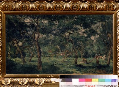 De olijfgaard. Schilderij van Charles Francois Daubigny (1817-1878) door Charles Francois Daubigny