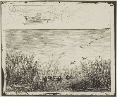 Moeras met eenden door Charles Francois Daubigny