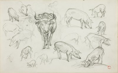 Schetsen van Varkens en een Os door Charles Francois Daubigny