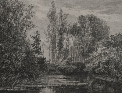Herten aan de waterkant, 1850 door Charles Francois Daubigny