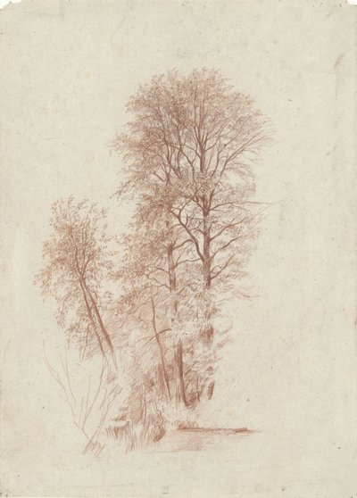 Studie van twee slanke en enige kleinere bomen in blad door Charles Francois Daubigny