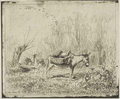 De ezel in de weide door Charles Francois Daubigny