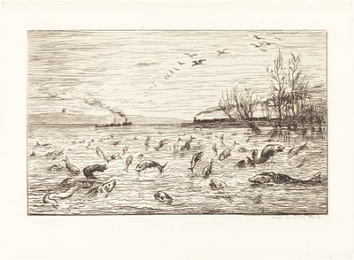De Vissen Verheugen zich wanneer de Kajuitjongen Vertrekt door Charles Francois Daubigny