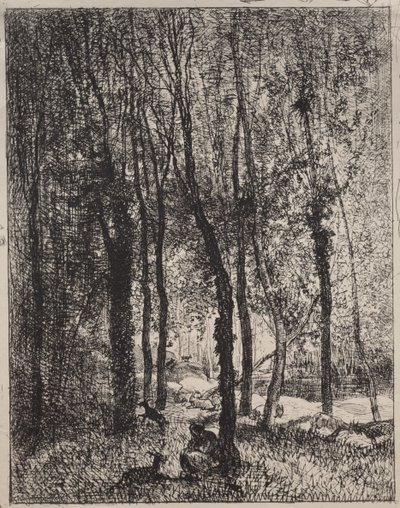 Het geitenhoedstermeisje door Charles Francois Daubigny