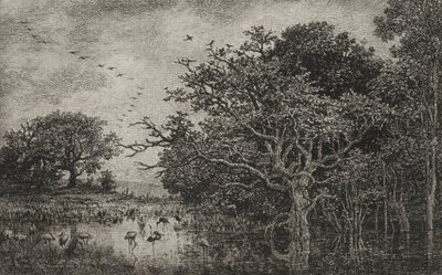 Het Moeras met Ooievaars, ca. 1851 door Charles Francois Daubigny