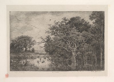De moerassen door Charles Francois Daubigny
