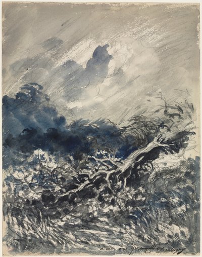 De eik en het riet, ca. 1873 door Charles Francois Daubigny