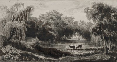 De vijver met herten, 1845 door Charles Francois Daubigny
