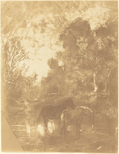 Twee paarden bij een drinkplaats door Charles Francois Daubigny