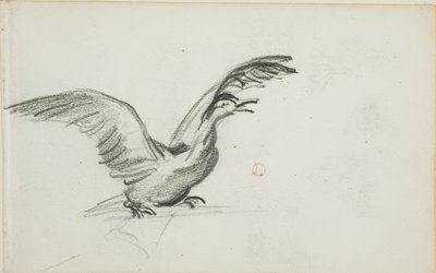 Wild Duet (recto); Twee staande naakte vrouwenfiguren in nissen (verso) door Charles Francois Daubigny