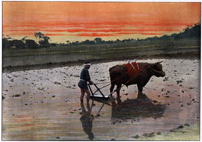 Voorbereiding van een rijstplantage in Japan, c1890 door Charles Gillot