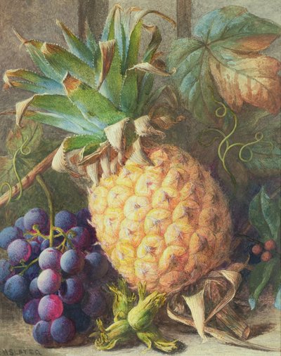 Stilleven van een ananas en druiven door Charles H. Slater