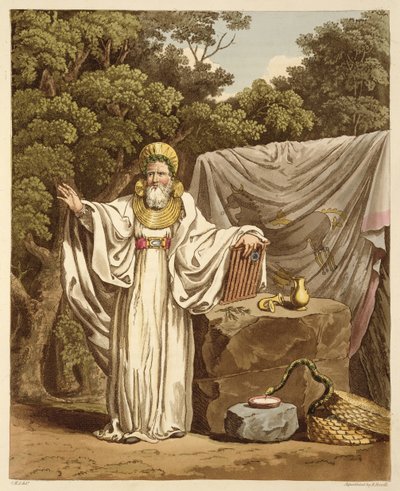Een Aartsdruïde in zijn Gerechtelijke Gewaad, gegraveerd door Robert Havell (1769-1832) 1815 door Charles Hamilton Smith