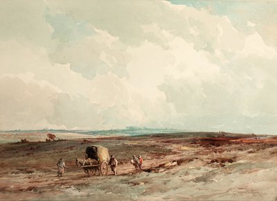 Op het Ashdown Forest Reserve, 1925 door Charles Harrington