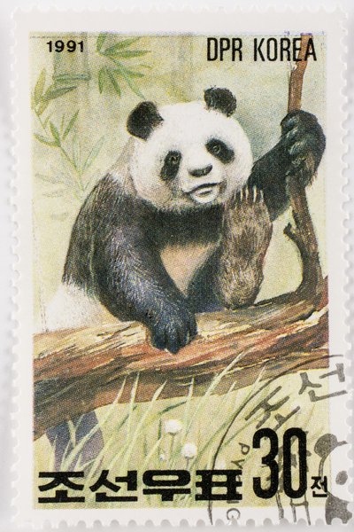 Postzegel Noord-Korea Ailuropoda melanoleuca Reuzenpanda door Augustus Kollner