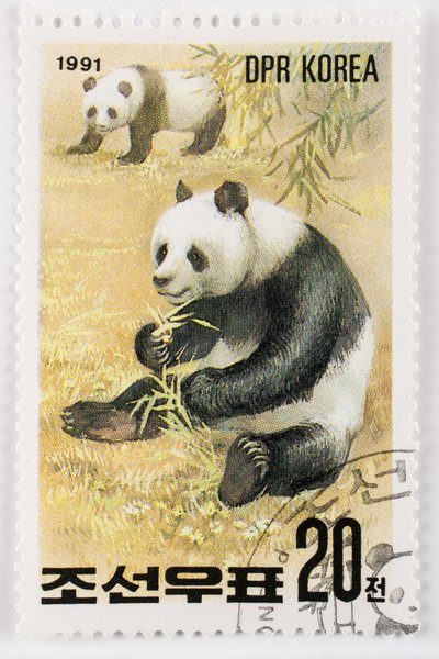 Postzegel Noord-Korea Ailuropoda melanoleuca Reuzenpanda door Augustus Kollner