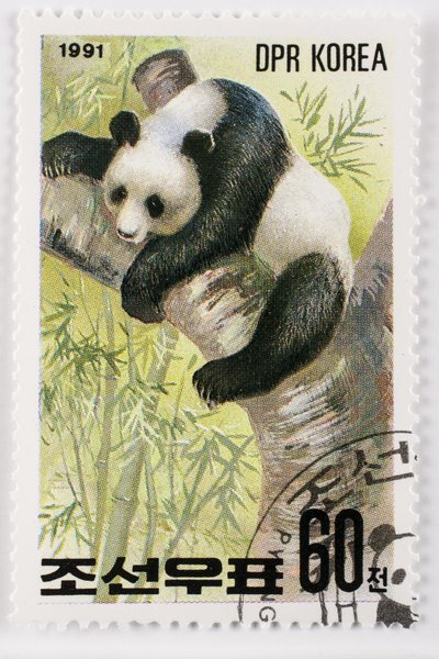 Postzegel Noord-Korea Ailuropoda melanoleuca Reuzenpanda door Augustus Kollner