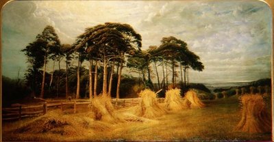 Schoven tarwe na de oogst door Charles Henry Passey