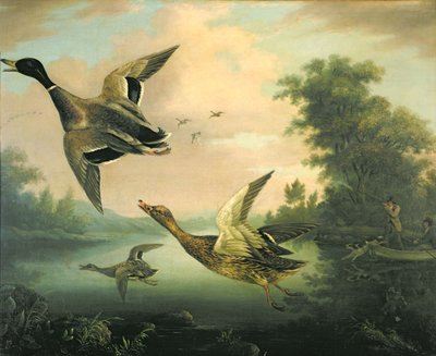 Eendenjacht door Charles Henry Schwanfelder