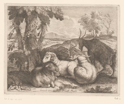 Schapen en geiten onder een boom door Charles II Errard (attributed to)
