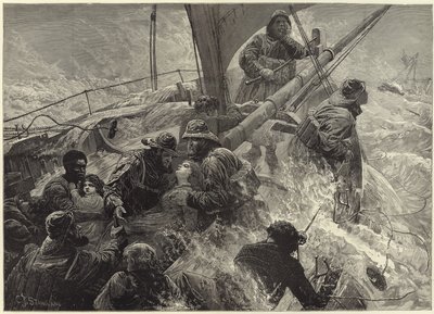 De meedogenloze storm door Charles J. Staniland