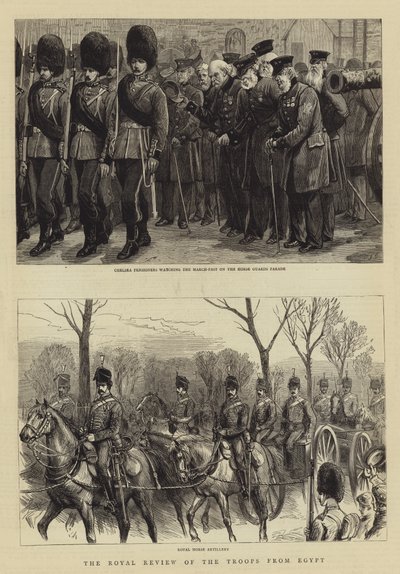 De koninklijke inspectie van de troepen uit Egypte door Charles J. Staniland
