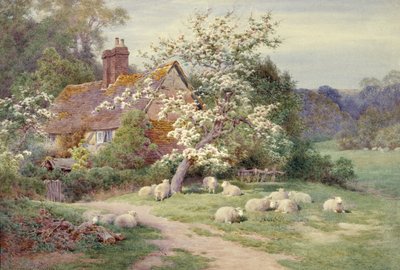 Schapen buiten een huisje in de lente door Charles James Adams