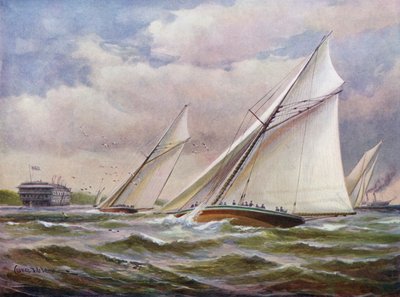 Witte Vleugels door Charles John de Lacy