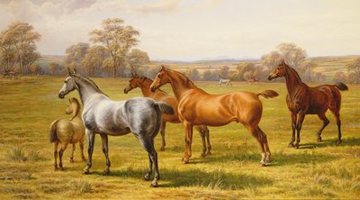 Paarden en Veulen in een Weide door Charles Jones