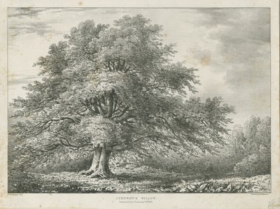 Lichfield - "Dr. Johnson