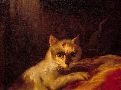 Mademoiselle de Charolais (detail) door Charles Joseph Natoire