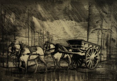 Vrede in een storm - Vlaanderen door Charles L. Morgan