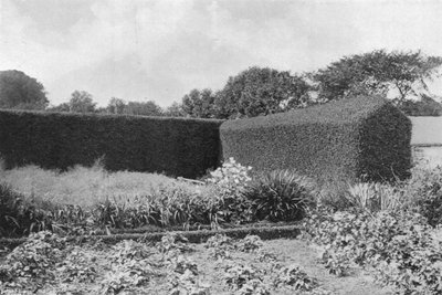Buxushaag in de moestuin door Charles Latham