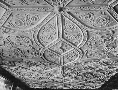 Plafond van de Salon door Charles Latham