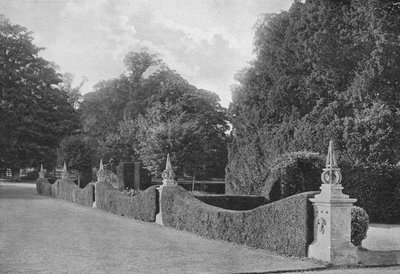 Verdeeld door Taxus door Charles Latham