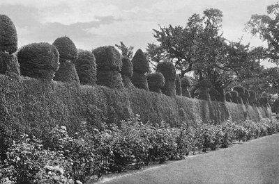 Fulford Hall: Excentriek snoeiwerk door Charles Latham