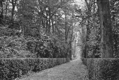 De hondenwandeling door Charles Latham