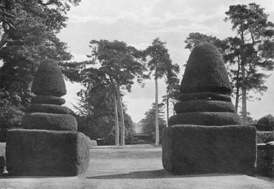 De Rode Schachten van de Grote Schotse Dennen door Charles Latham