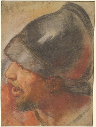 Kopf eines makedonischen Soldaten door Charles Le Brun